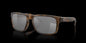 Holbrook Matte Brown Tortoise w/ Prizm Black Injected