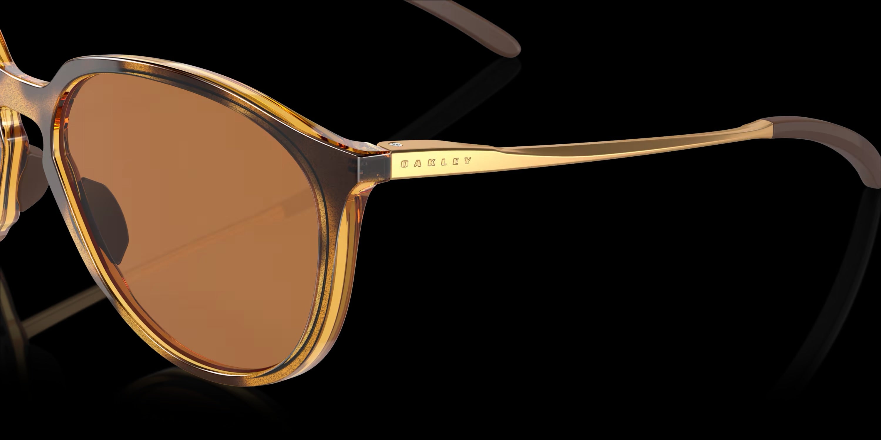SIELO POLISHED BROWN TORTOISE w/ PRIZM BRONZE POLAR INJECTED WOMAN SUNGLASS 0OO9288 928803