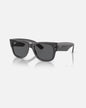 Mega Wayfarer Transparent Black w/ Dark Grey Propionate