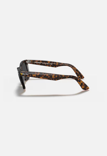 Wayfarer Havana on Transparent Brown w/ Dark Grey Acetate