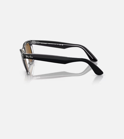 Wayfarer Black on Transparent w/ Brown Acetate