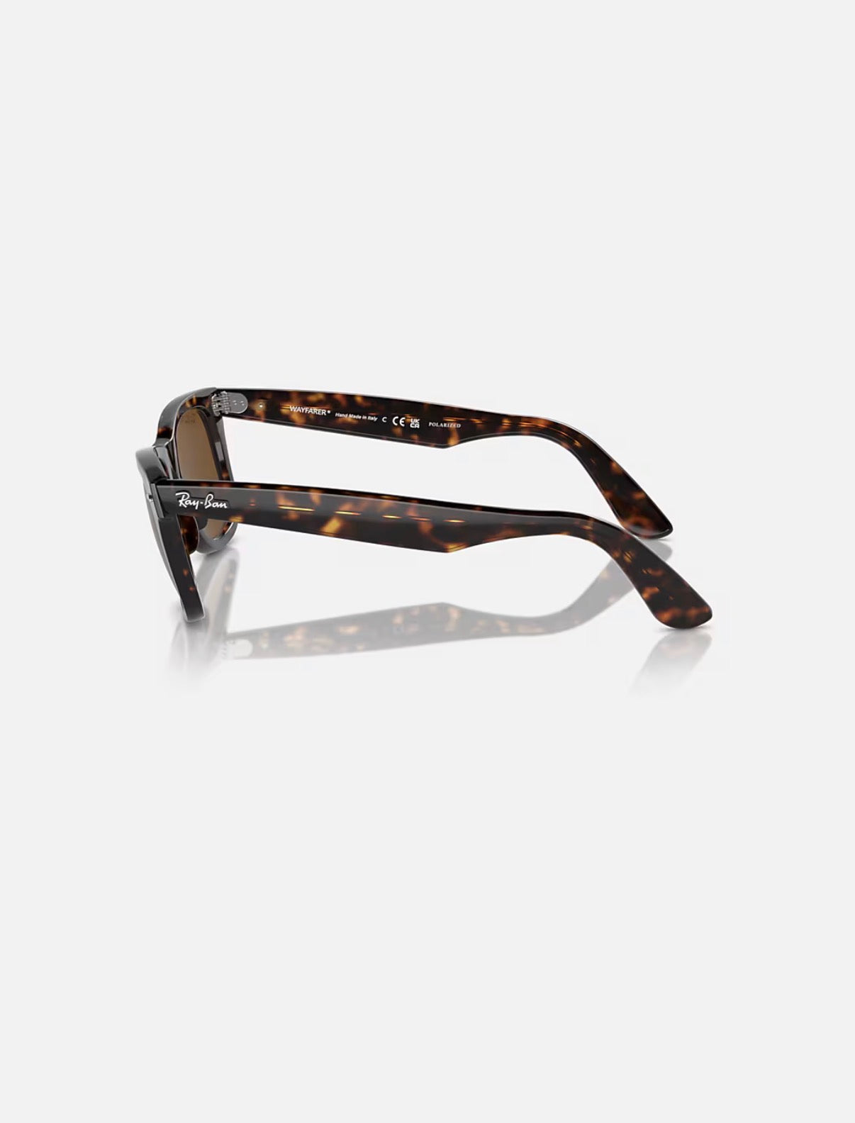 Wayfarer Tortoise w/ Brown Polarized Acetate