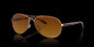 Feedback Rose Gold w/ Brown Gradient Polar Metal
