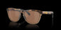 Frogskins Range Brown Tort/Brown Smoke w/ Prizm Tungsten Polar Injected