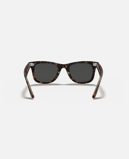 Wayfarer Havana on Transparent Brown w/ Dark Grey Acetate