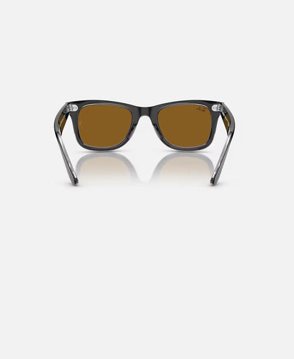 Wayfarer Black on Transparent w/ Brown Acetate