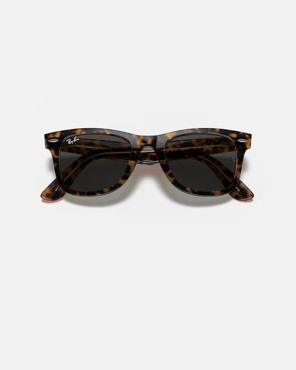 Wayfarer Havana on Transparent Brown w/ Dark Grey Acetate