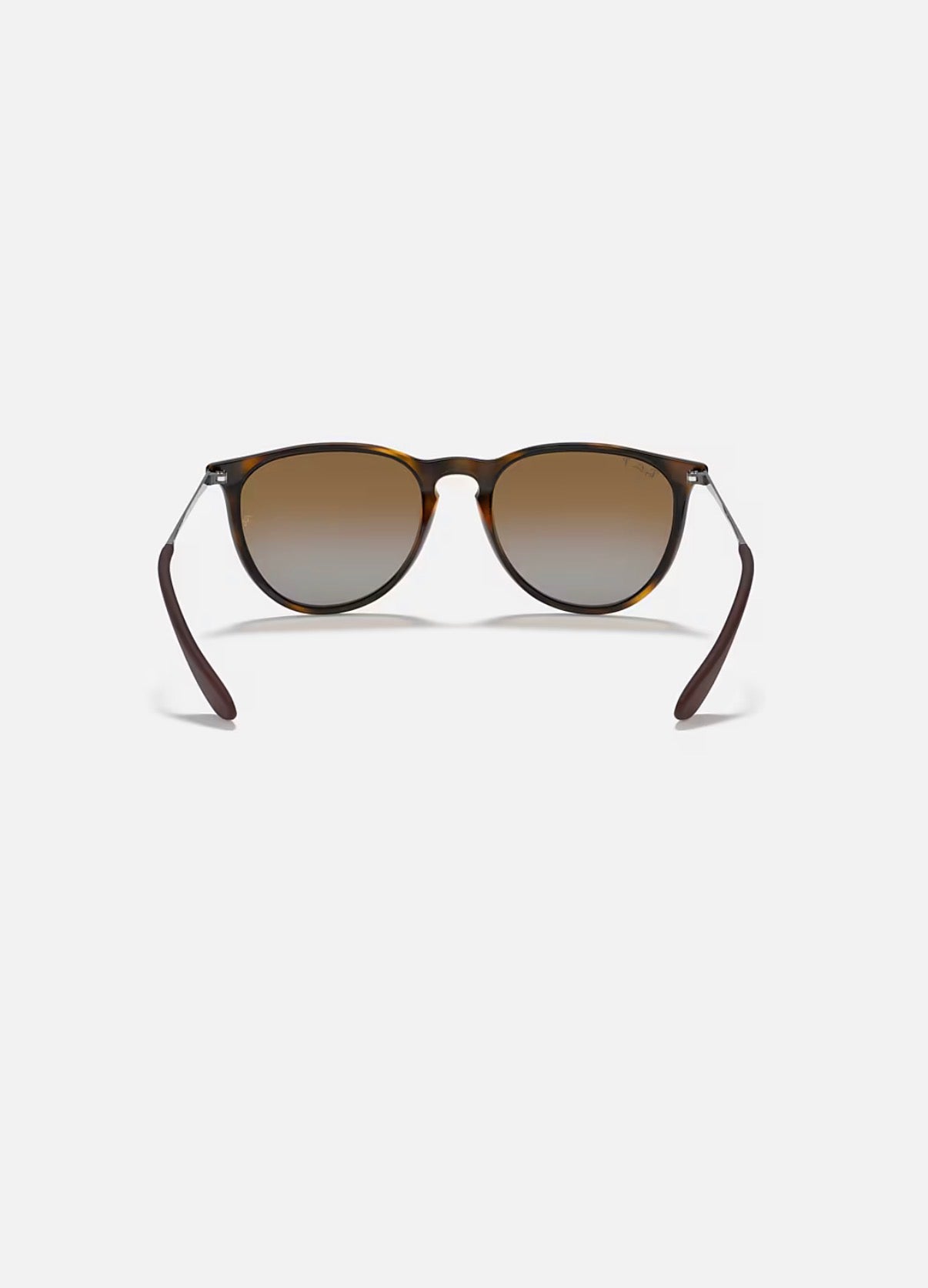 Erika Light Havana w/ Brown Gradient Polar Nylon
