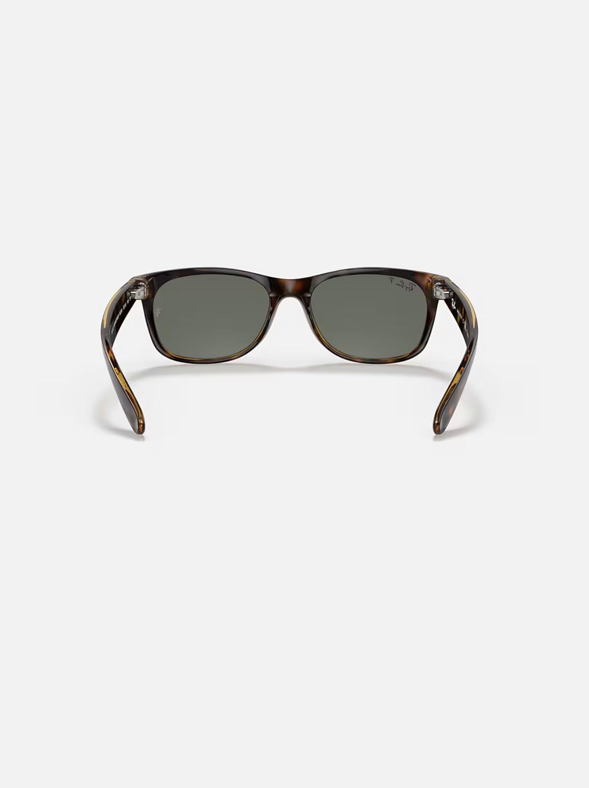 New Wayfarer Tortoise w/ Polar Green Nylon