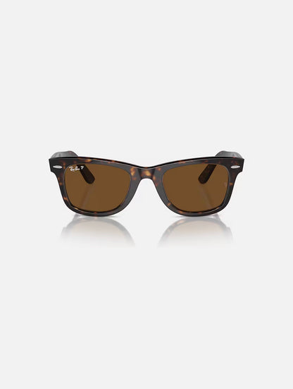 Wayfarer Tortoise w/ Brown Polarized Acetate